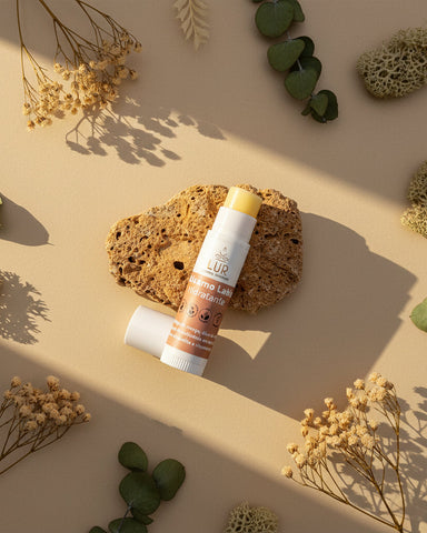 Lip balm on a rock with natural elements on a beige background